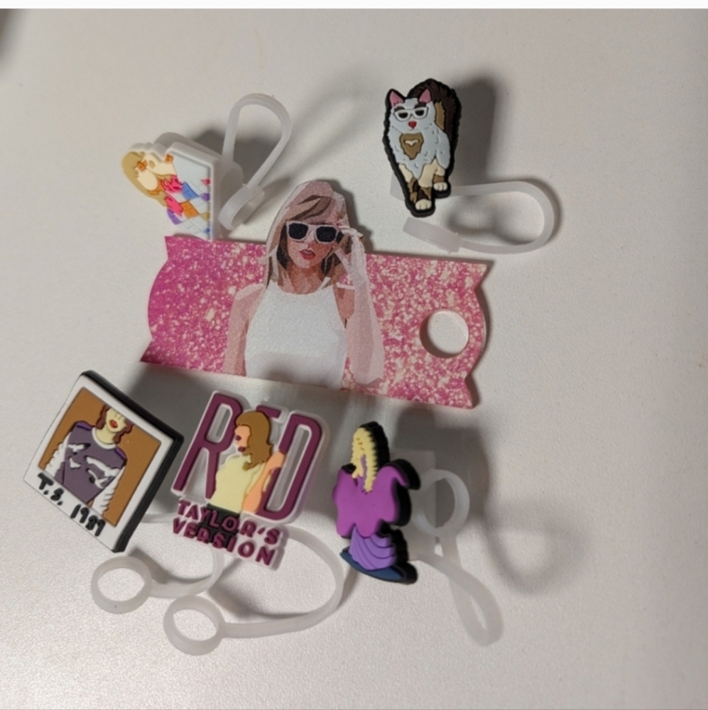 New Taylor Swift Tumbler &Straw Accessories